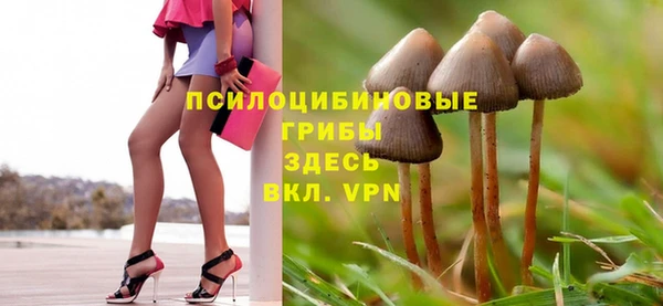 каннабис Белокуриха